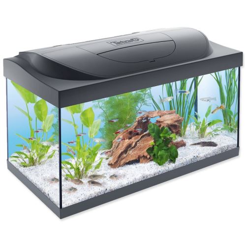 Aquarium-Set Starter Line LED 60 x 30 x 30 cm 54 l