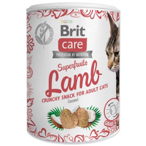 BRIT Care Cat Snack Superfruits Lamm mit Kokosnuss 100 g