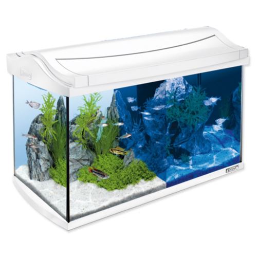 Aquarium-Set AquaArt LED weiß 57 x 30 x 35 cm 60 l